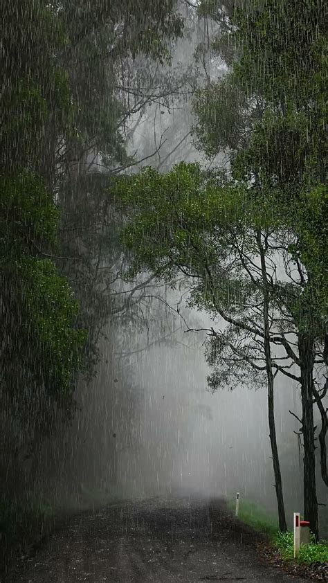 下雨天 圖片|下雨图片